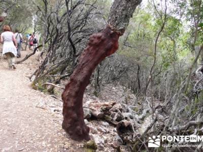 Parque Nacional Monfragüe - Reserva Natural Garganta de los Infiernos-Jerte; senderismo organizado